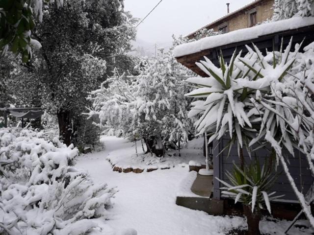 Bed and Breakfast Bastide De La Lauve Magagnosc Exterior foto