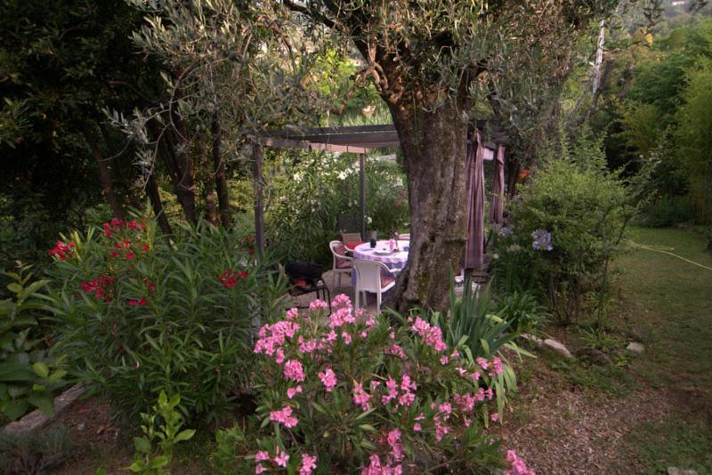 Bed and Breakfast Bastide De La Lauve Magagnosc Exterior foto