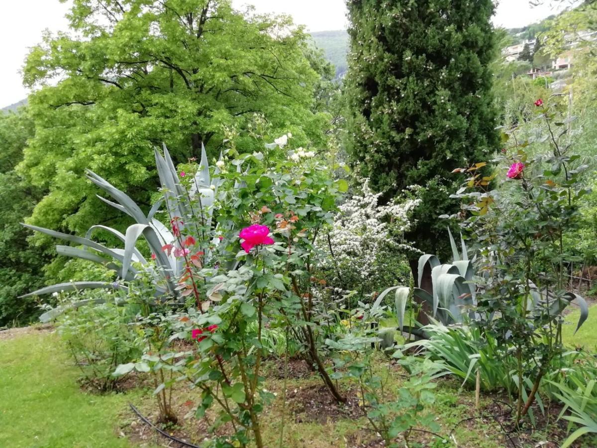 Bed and Breakfast Bastide De La Lauve Magagnosc Exterior foto
